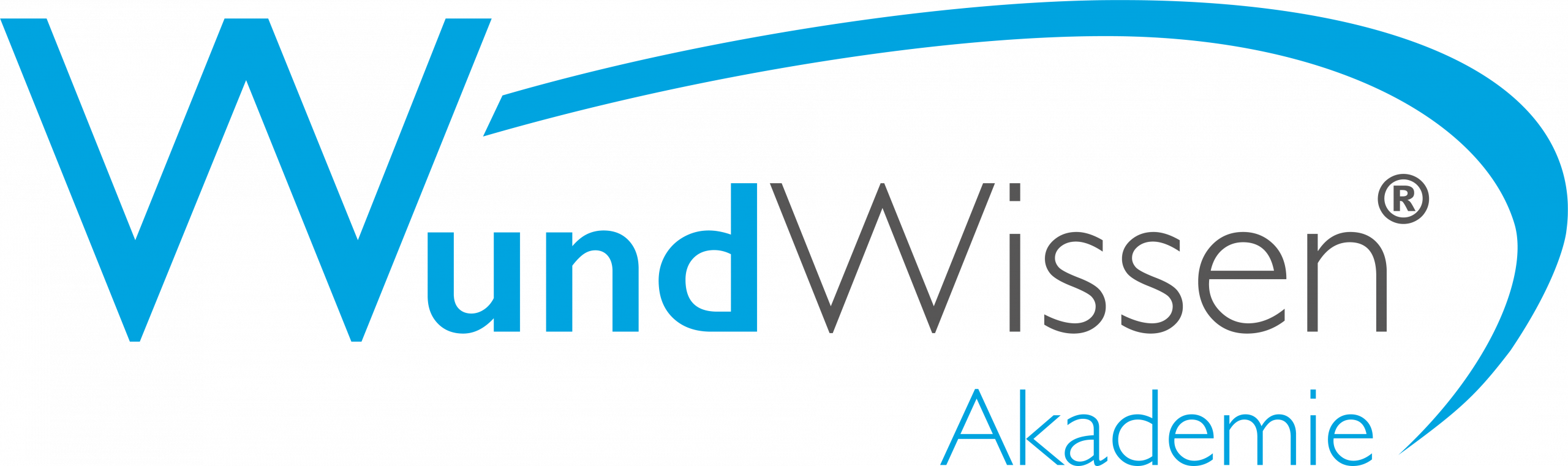WundWissen Logo